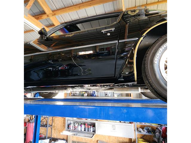 1979 Pontiac Firebird Trans Am (CC-2119911) for sale in Divide, Colorado