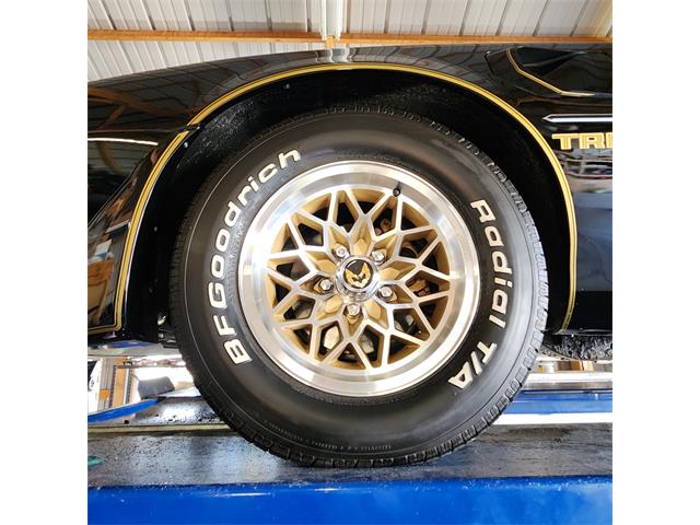 1979 Pontiac Firebird Trans Am (CC-2119911) for sale in Divide, Colorado
