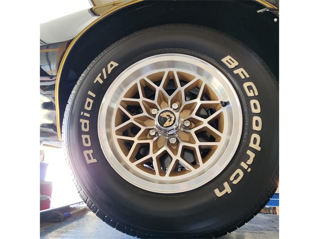 1979 Pontiac Firebird Trans Am (CC-2119911) for sale in Divide, Colorado