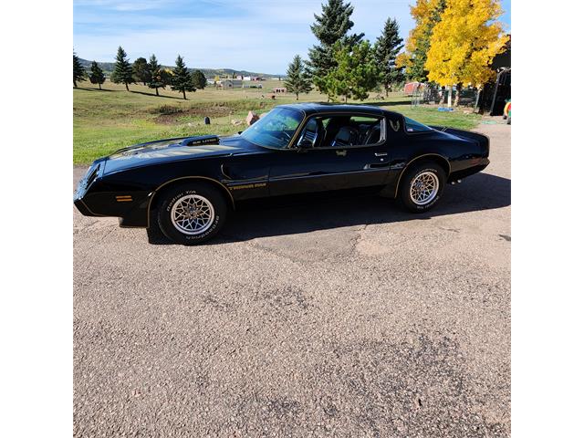 1979 Pontiac Firebird Trans Am (CC-2119911) for sale in Divide, Colorado