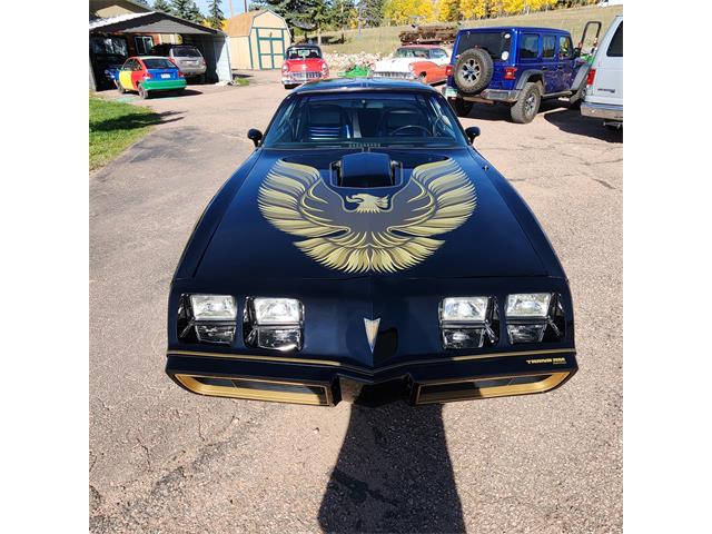 1979 Pontiac Firebird Trans Am (CC-2119911) for sale in Divide, Colorado