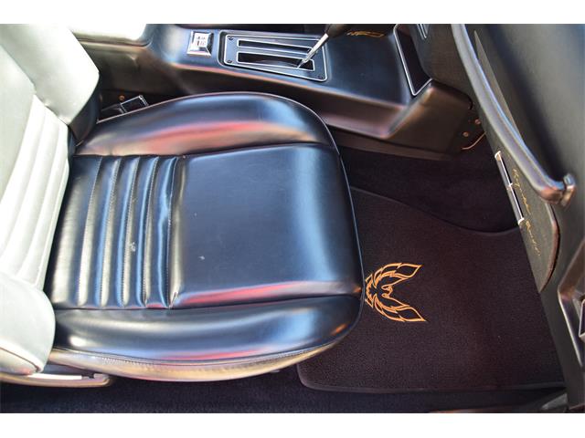 1979 Pontiac Firebird Trans Am (CC-2119911) for sale in Divide, Colorado