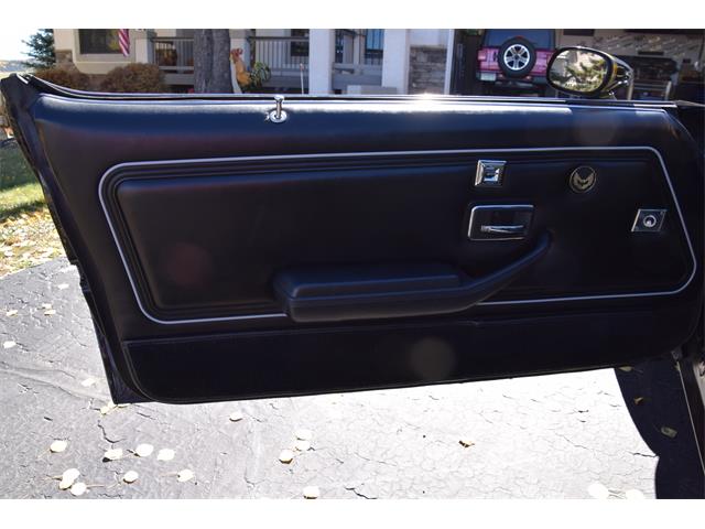 1979 Pontiac Firebird Trans Am (CC-2119911) for sale in Divide, Colorado