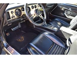 1979 Pontiac Firebird Trans Am (CC-2119911) for sale in Divide, Colorado