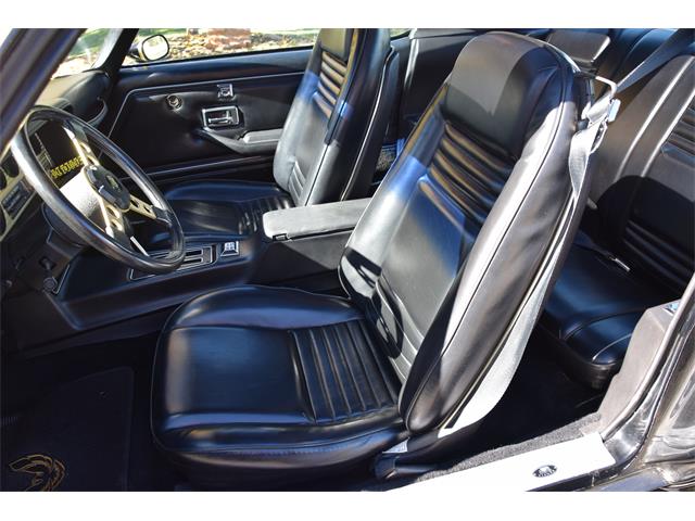 1979 Pontiac Firebird Trans Am (CC-2119911) for sale in Divide, Colorado