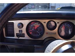 1979 Pontiac Firebird Trans Am (CC-2119911) for sale in Divide, Colorado
