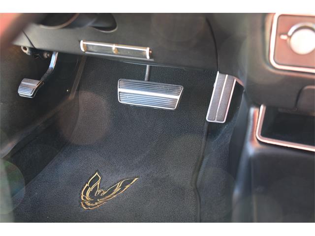 1979 Pontiac Firebird Trans Am (CC-2119911) for sale in Divide, Colorado