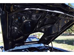 1979 Pontiac Firebird Trans Am (CC-2119911) for sale in Divide, Colorado