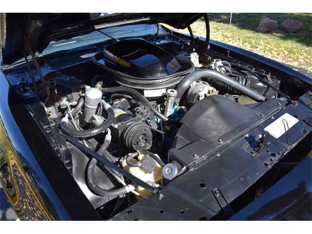 1979 Pontiac Firebird Trans Am (CC-2119911) for sale in Divide, Colorado