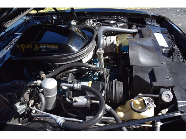 1979 Pontiac Firebird Trans Am (CC-2119911) for sale in Divide, Colorado