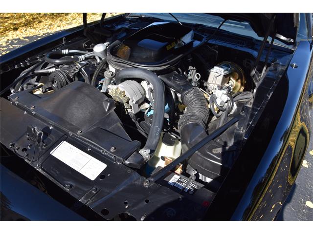 1979 Pontiac Firebird Trans Am (CC-2119911) for sale in Divide, Colorado