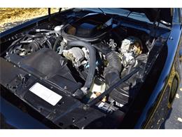 1979 Pontiac Firebird Trans Am (CC-2119911) for sale in Divide, Colorado