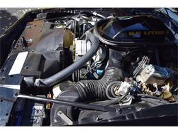 1979 Pontiac Firebird Trans Am (CC-2119911) for sale in Divide, Colorado