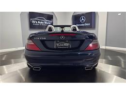 2014 Mercedes-Benz SLK 55 AMG (CC-2119952) for sale in Clearwater, Florida