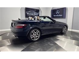 2014 Mercedes-Benz SLK 55 AMG (CC-2119952) for sale in Clearwater, Florida