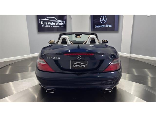 2014 Mercedes-Benz SLK 55 AMG (CC-2119952) for sale in Clearwater, Florida
