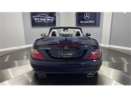 2014 Mercedes-Benz SLK 55 AMG (CC-2119952) for sale in Clearwater, Florida