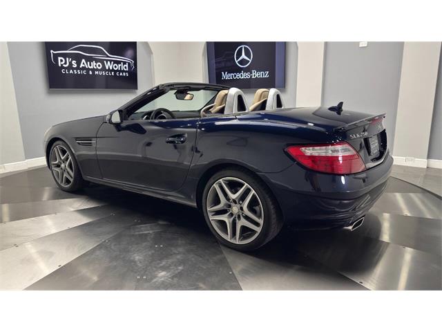 2014 Mercedes-Benz SLK 55 AMG (CC-2119952) for sale in Clearwater, Florida