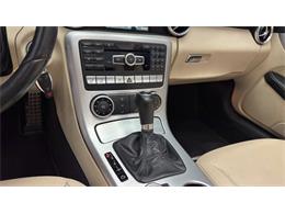 2014 Mercedes-Benz SLK 55 AMG (CC-2119952) for sale in Clearwater, Florida
