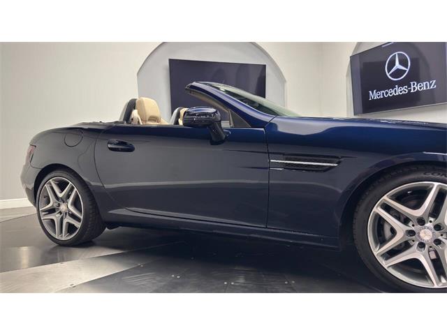 2014 Mercedes-Benz SLK 55 AMG (CC-2119952) for sale in Clearwater, Florida