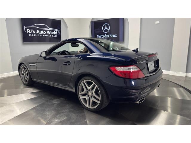 2014 Mercedes-Benz SLK 55 AMG (CC-2119952) for sale in Clearwater, Florida