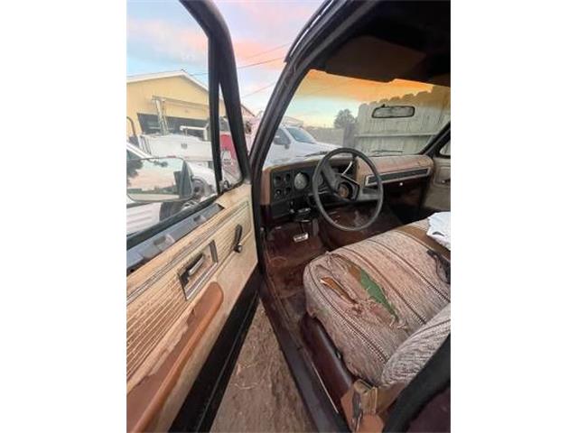 1979 GMC Sierra (CC-2110996) for sale in Cadillac, Michigan