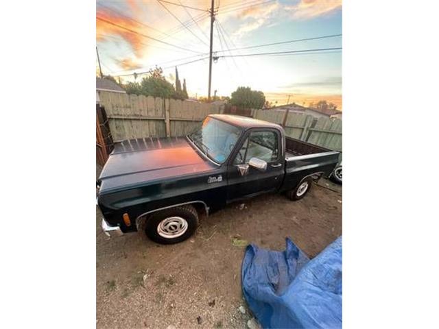 1979 GMC Sierra (CC-2110996) for sale in Cadillac, Michigan