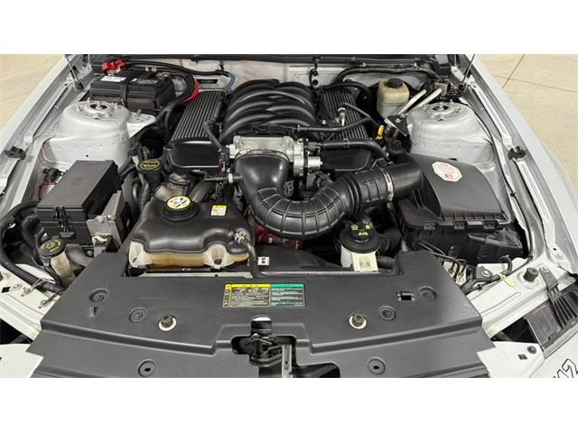 2006 Ford Saleen Mustang (CC-2119986) for sale in Las Vegas, Nevada