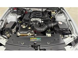 2006 Ford Saleen Mustang (CC-2119986) for sale in Las Vegas, Nevada