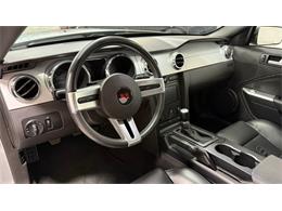 2006 Ford Saleen Mustang (CC-2119986) for sale in Las Vegas, Nevada