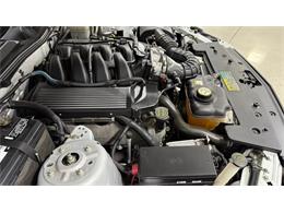 2006 Ford Saleen Mustang (CC-2119986) for sale in Las Vegas, Nevada