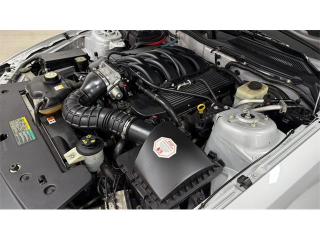 2006 Ford Saleen Mustang (CC-2119986) for sale in Las Vegas, Nevada