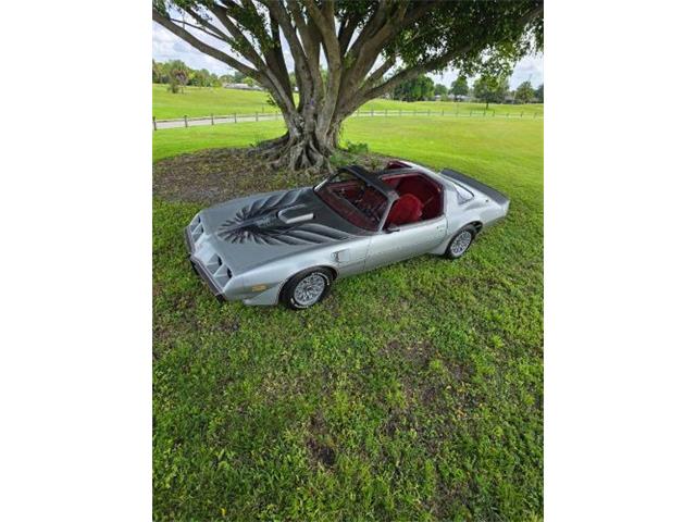 1979 Pontiac Firebird (CC-2121013) for sale in Cadillac, Michigan