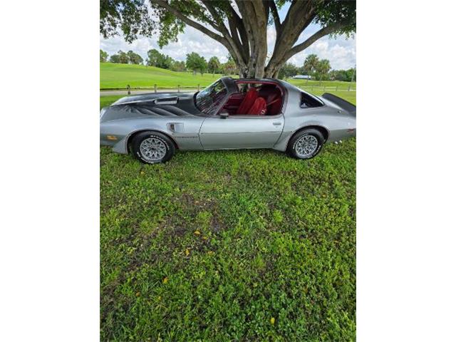 1979 Pontiac Firebird (CC-2121013) for sale in Cadillac, Michigan