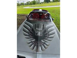 1979 Pontiac Firebird (CC-2121013) for sale in Cadillac, Michigan