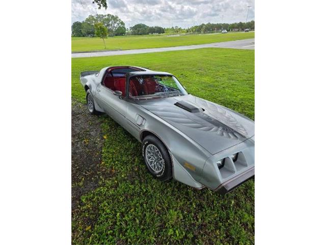 1979 Pontiac Firebird (CC-2121013) for sale in Cadillac, Michigan