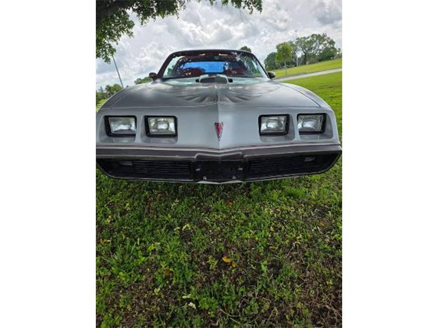 1979 Pontiac Firebird (CC-2121013) for sale in Cadillac, Michigan