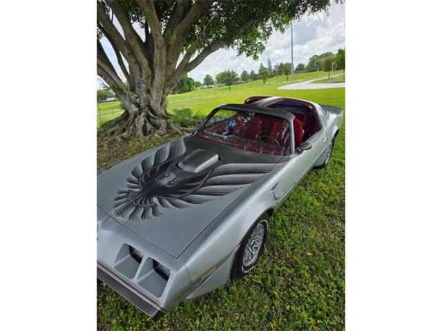 1979 Pontiac Firebird (CC-2121013) for sale in Cadillac, Michigan