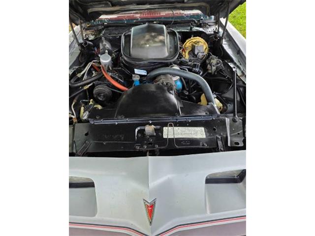 1979 Pontiac Firebird (CC-2121013) for sale in Cadillac, Michigan