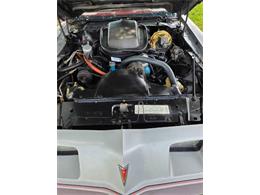 1979 Pontiac Firebird (CC-2121013) for sale in Cadillac, Michigan