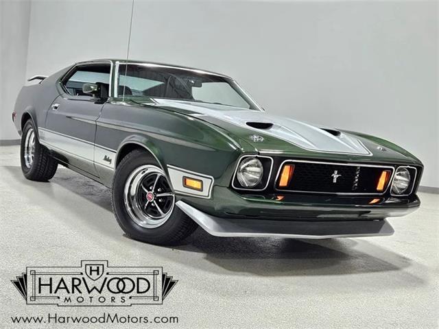 1973 Ford Mustang (CC-2121052) for sale in Cleveland, Ohio