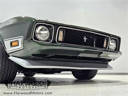 1973 Ford Mustang (CC-2121052) for sale in Cleveland, Ohio