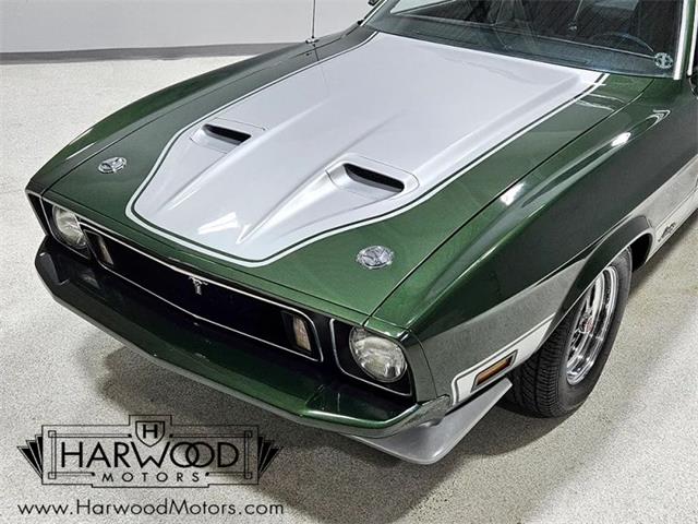 1973 Ford Mustang (CC-2121052) for sale in Cleveland, Ohio