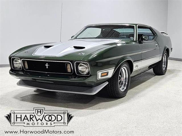 1973 Ford Mustang (CC-2121052) for sale in Cleveland, Ohio