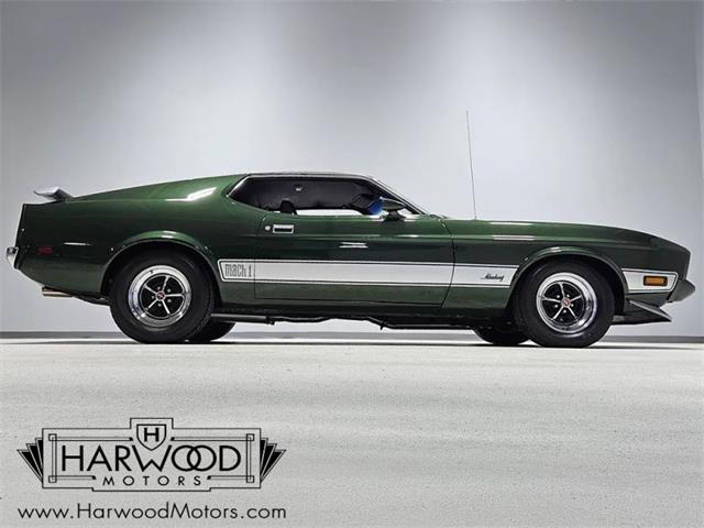 1973 Ford Mustang (CC-2121052) for sale in Cleveland, Ohio