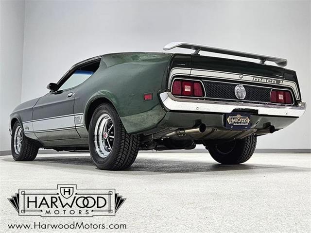 1973 Ford Mustang (CC-2121052) for sale in Cleveland, Ohio