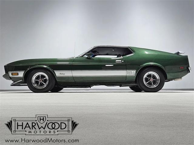1973 Ford Mustang (CC-2121052) for sale in Cleveland, Ohio