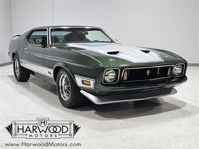 1973 Ford Mustang (CC-2121052) for sale in Cleveland, Ohio