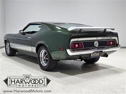 1973 Ford Mustang (CC-2121052) for sale in Cleveland, Ohio