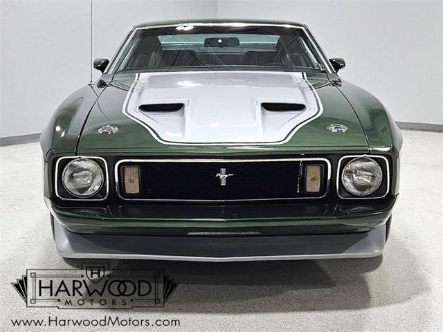 1973 Ford Mustang (CC-2121052) for sale in Cleveland, Ohio